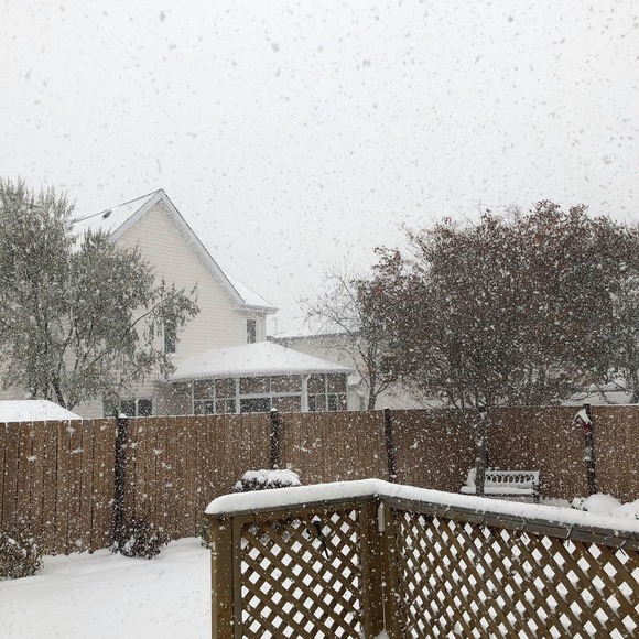 Meet your Posher, Collette - Picture 1 of 1